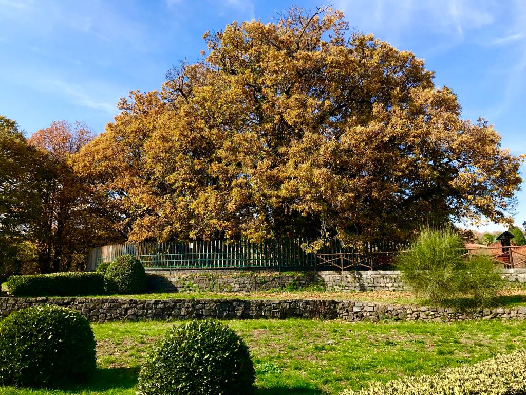 CASTANETUM FLOWER FESTIVAL 2026 – ETNA